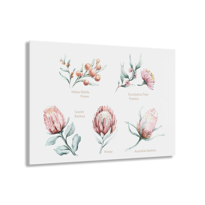 30″ × 20″ (Horizontal) / Glossy