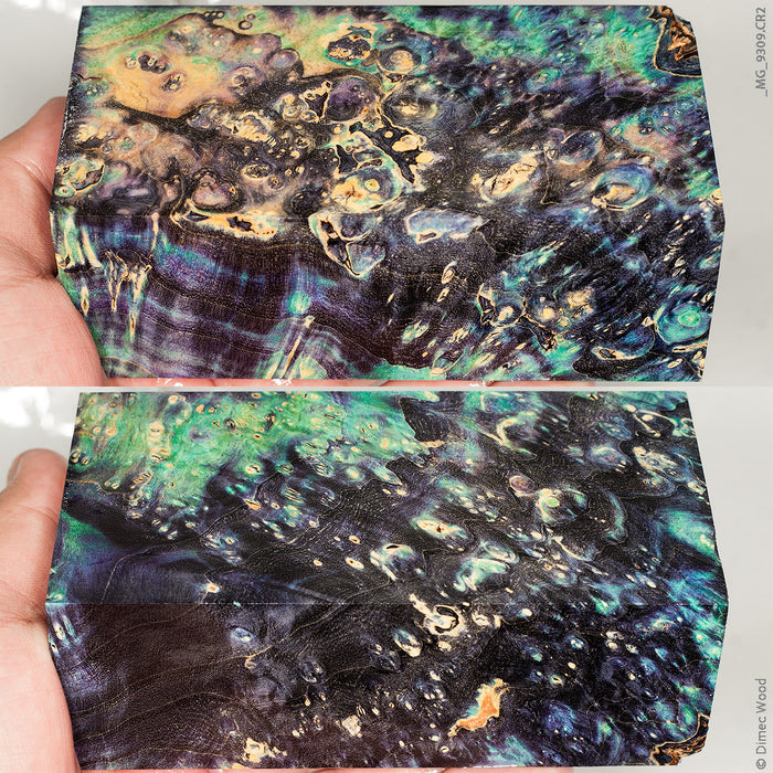 Stabilized wood box elder burl block
