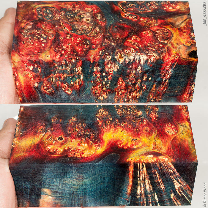 Stabilized wood box elder burl block