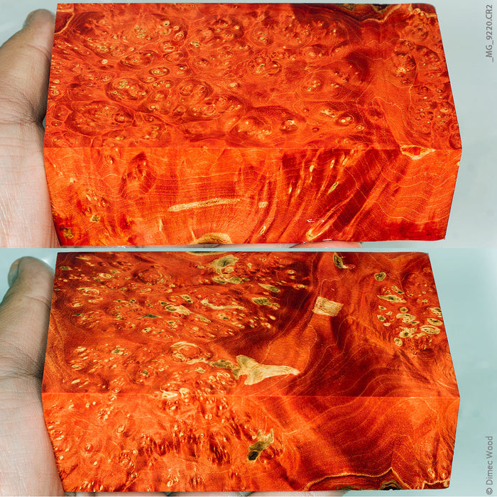 Stabilized wood box elder burl block