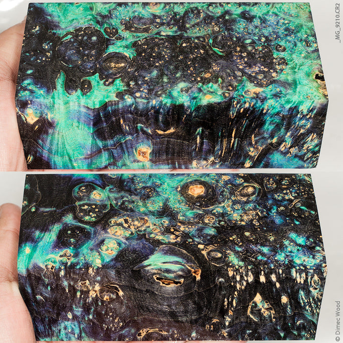 Stabilized wood box elder burl block