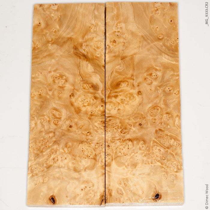 Stabilized wood box elder burl panels