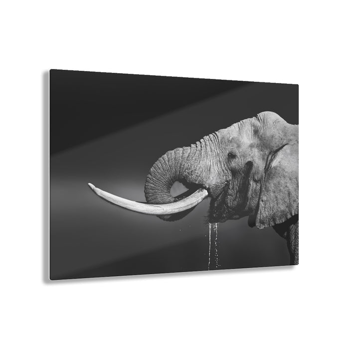 18″ × 12″ (Horizontal) / Glossy