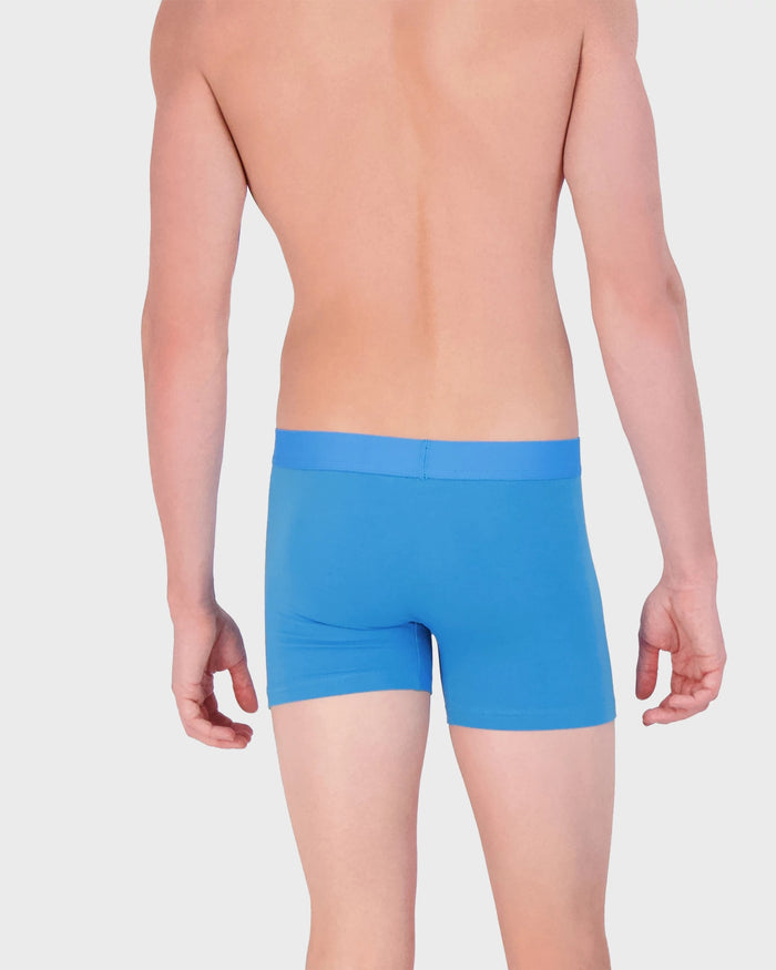 Swedishblue $|& Wood Underwear 3" Boxer Brief With Fly - Hanger Side