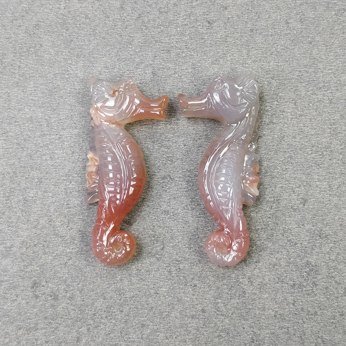 Sea Horse