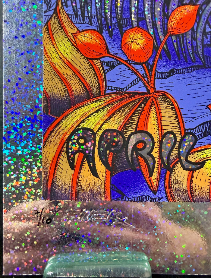 AUCTION - Coachella - Indio '10 - Sparkle Foil  Edition - Emek - Very Good - SF Rock Posters & Collectibles