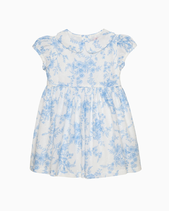 Confiture Dress Baby Kate Floral Plumeti Dress