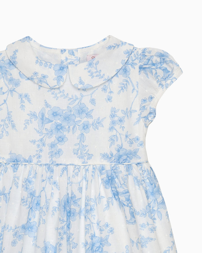 Confiture Dress Baby Kate Floral Plumeti Dress