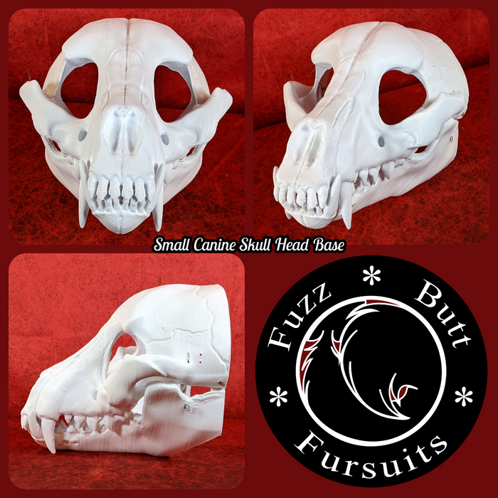 35. Small Canine Skull (8 head height. Plastic: White)