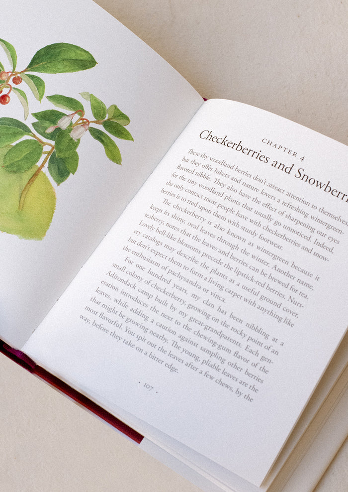 Interior pages of a book about types of berries.