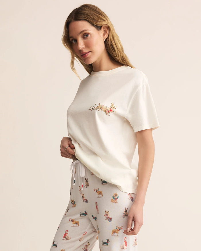 Sea Salt $|& Z Supply Lounge Bestie Boyfriend Tee - Hanger Front