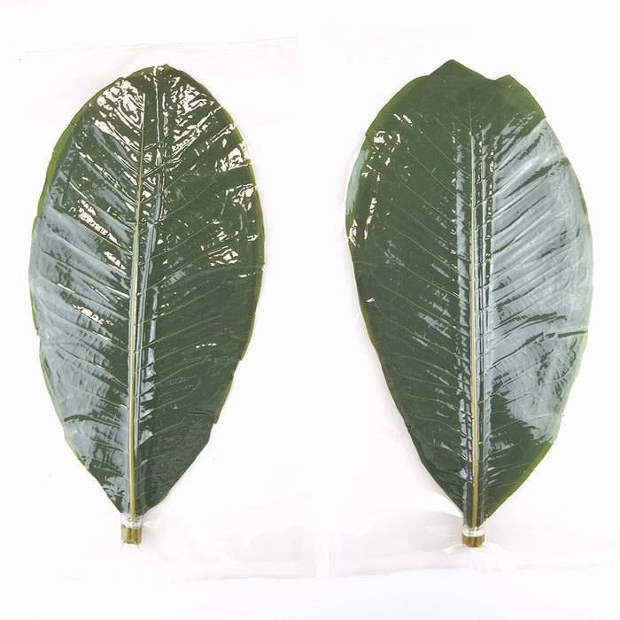 Fresh Hoba Leaves Serving Sheet (20 pcs)