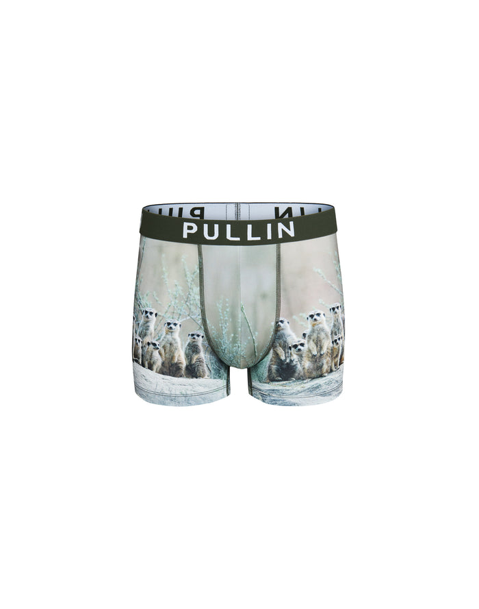 boxer court ouou PULLIN