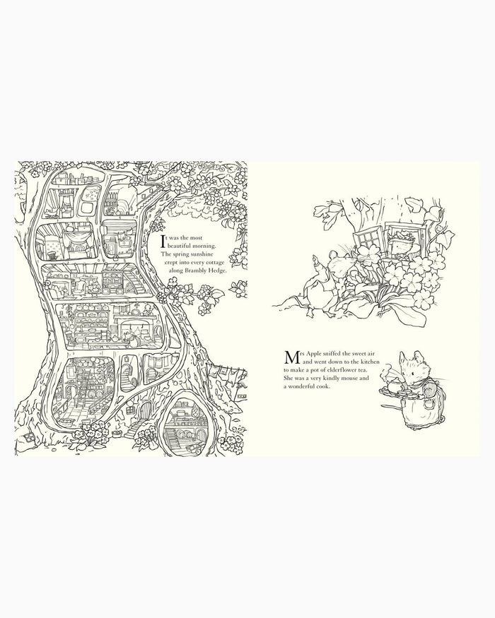 Jill Barklem Book Brambly Hedge: Nature Colouring Book
