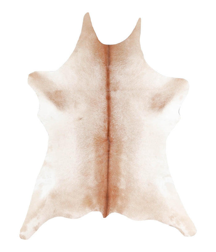 Calfhide #A28424