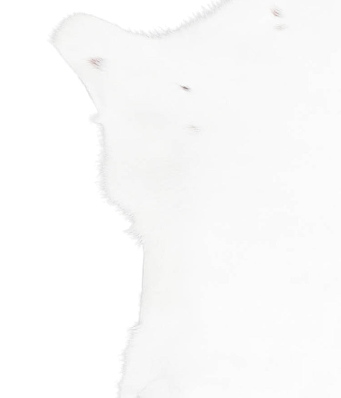 Calfhide #A28427