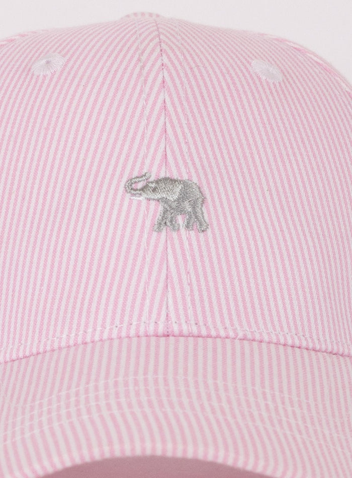 Thomas Brown Cap Charlie Cap in Pink Stripe