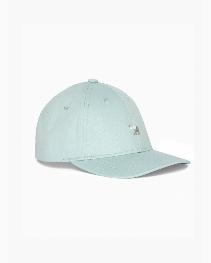 Thomas Brown Cap Charlie Cap in Sage