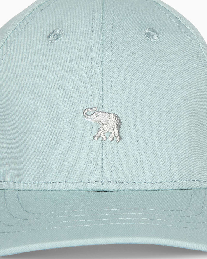 Thomas Brown Cap Charlie Cap in Sage
