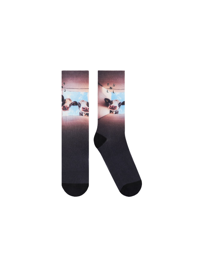 CHAUSSETTES LONGCOWY