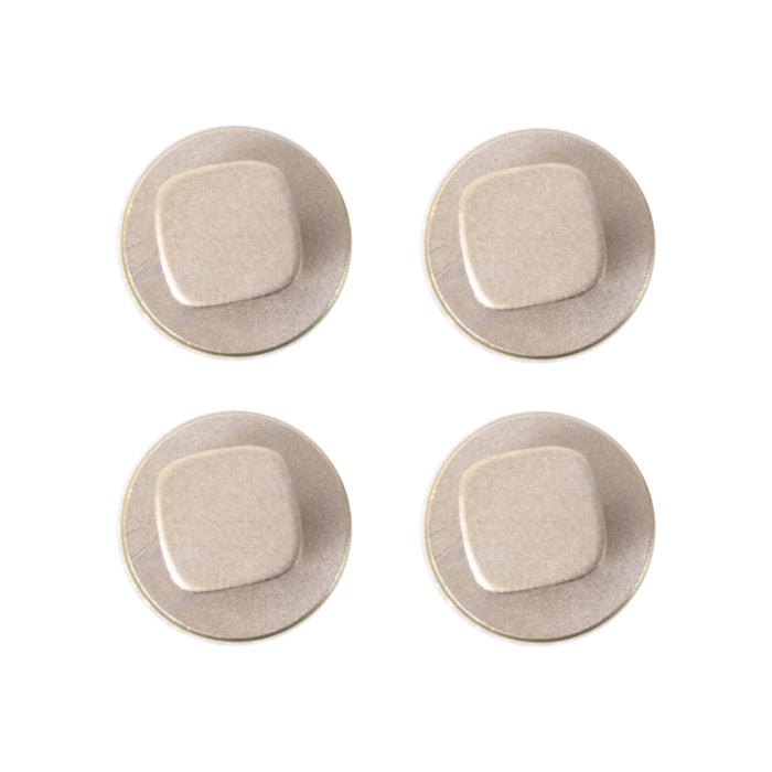 Coast Guard Auxiliary Jewelry: Studs - satin silver