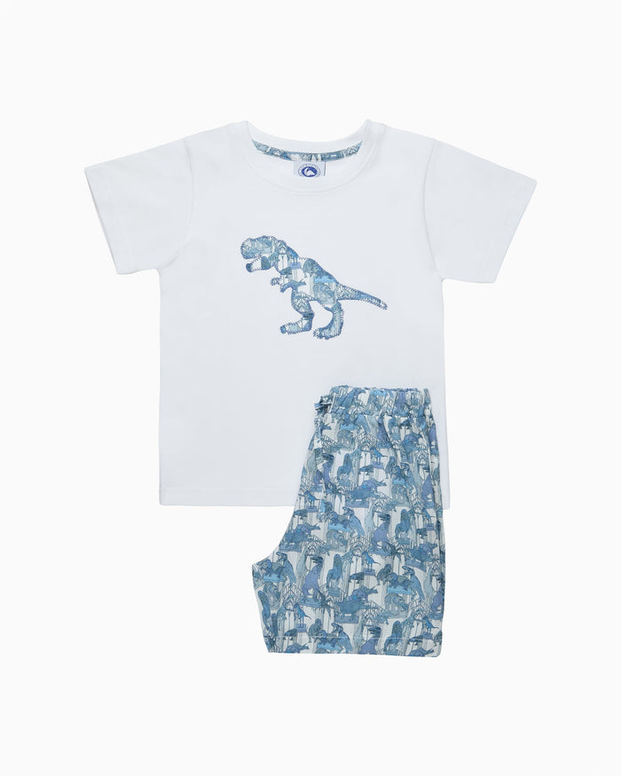 Original Pyjama Compnay Pyjamas Dinosaur Jersey Pyjamas