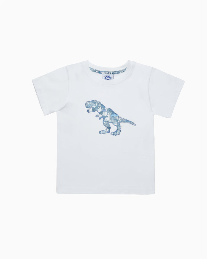 Original Pyjama Compnay Pyjamas Dinosaur Jersey Pyjamas