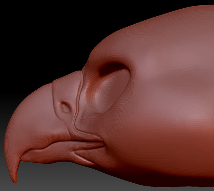 Feminine Harris Hawk Head Base