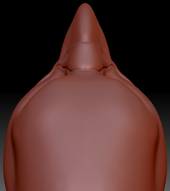 Feminine Harris Hawk Head Base