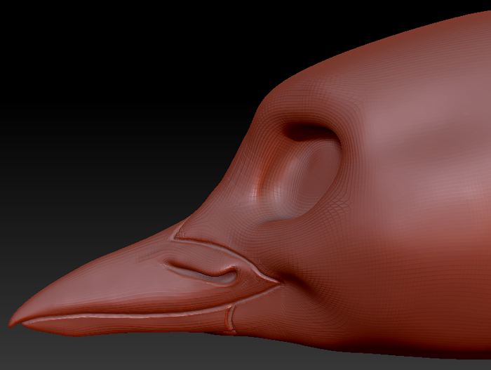 Feminine Hummingbird Head Base