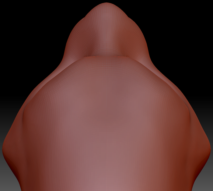 Feminine Tiger Static Jaw Head Base