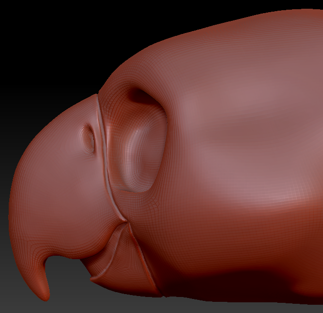 Feminine Toony Bird Static Jaw Head Base Variant 4