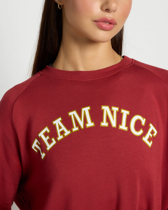 Rosewood $|& Interval Flex Fleece Graphic Pullover Team Nice - SOF Full Front