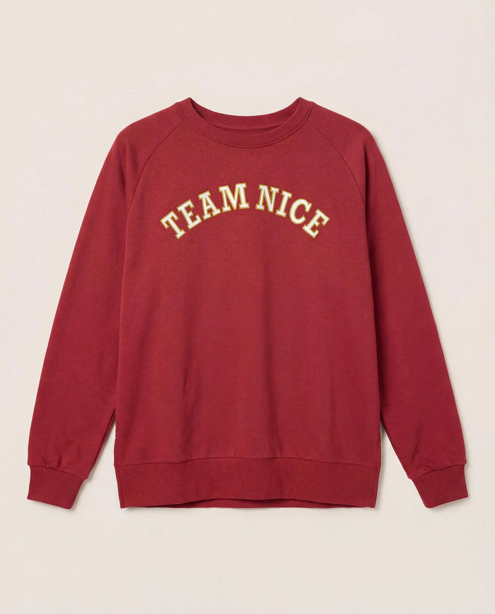 Rosewood $|& Interval Flex Fleece Graphic Pullover Team Nice - Hanger Detail
