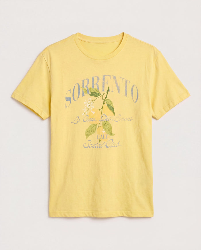 Sunshine $|& SEAS Floret Relaxed Tee "SORRENTO" - Hanger Detail