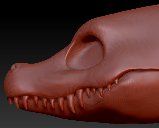 Gender Neutral Alligator Head Base Variant 1