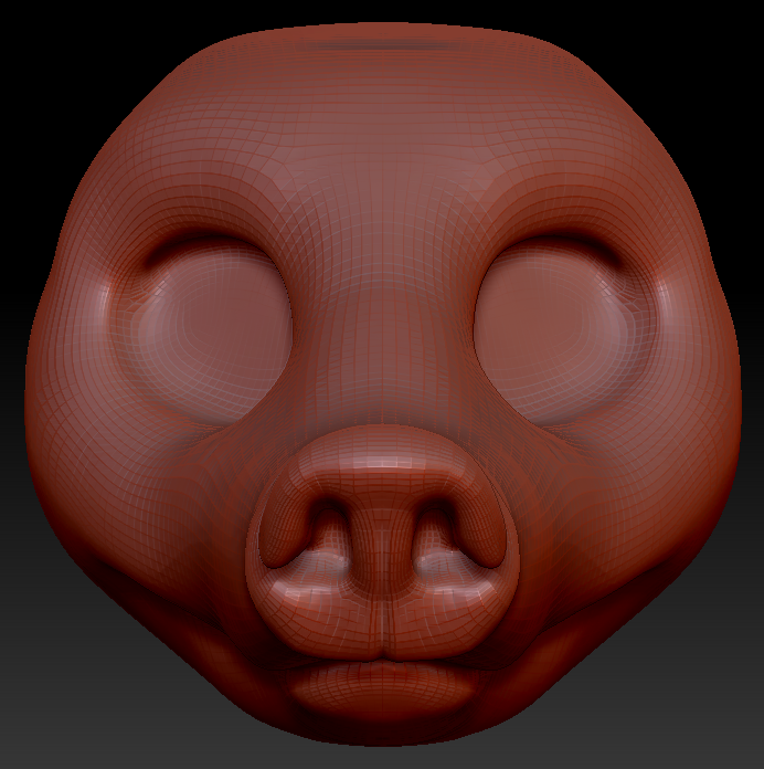 Gender Neutral Coatimundi Head Base