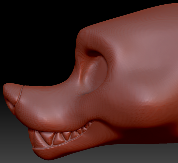 Gender Neutral Crux Head Base Variant 1