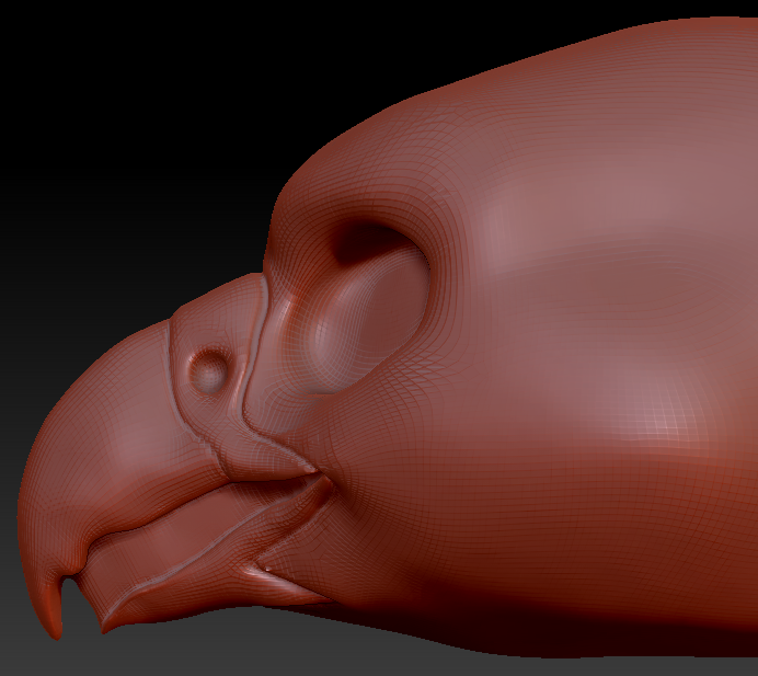 Gender Neutral Falcon Static Jaw Head Base
