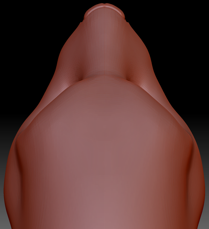 Gender Neutral Ferret Head Base Variant 2