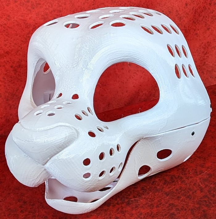 Gender Neutral Toony Big Cat Static Jaw Head Base Variant 1