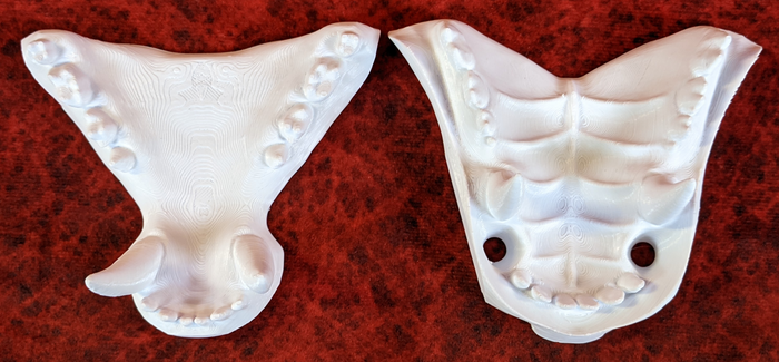 Large Bear Realistic Style Jawset