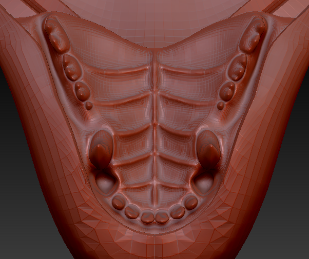 Large Bear Realistic Style Jawset