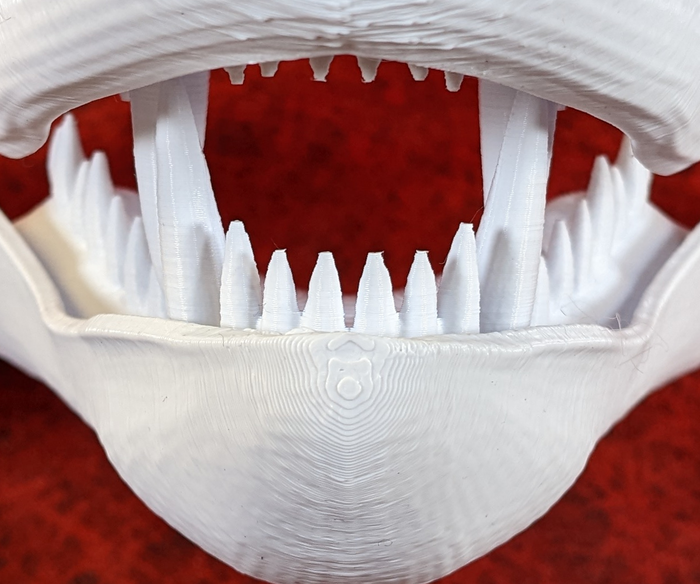 Large Dragon Jawset