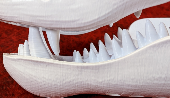 Large Dragon Jawset
