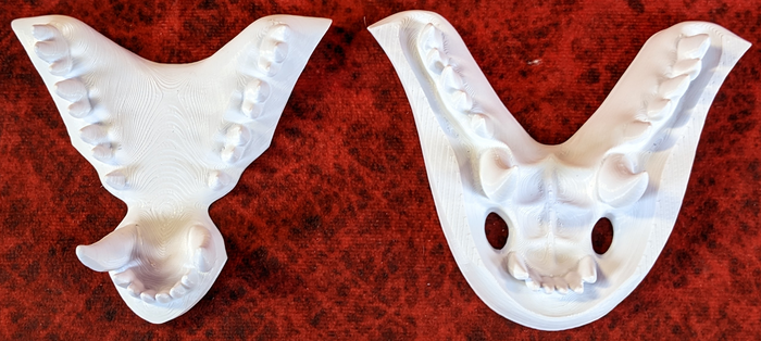 Large Dragon Jawset