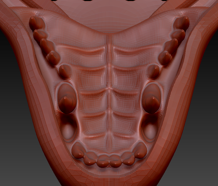 Large Dragon Jawset