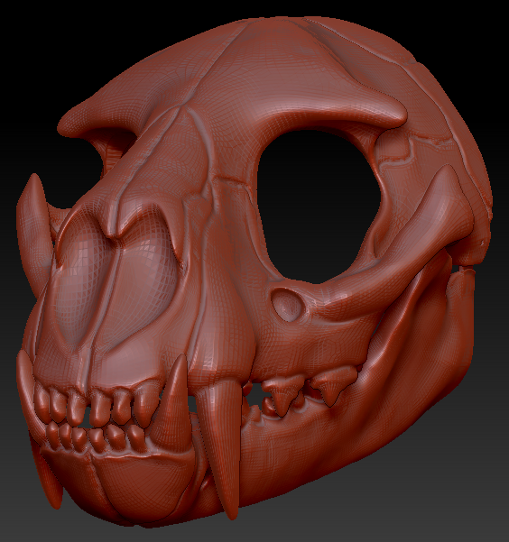Large Feline Skull