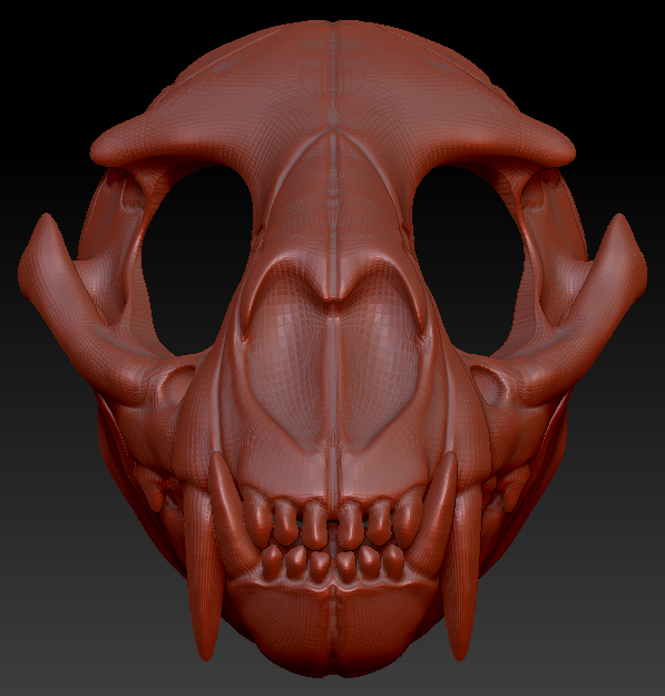 Large Feline Skull
