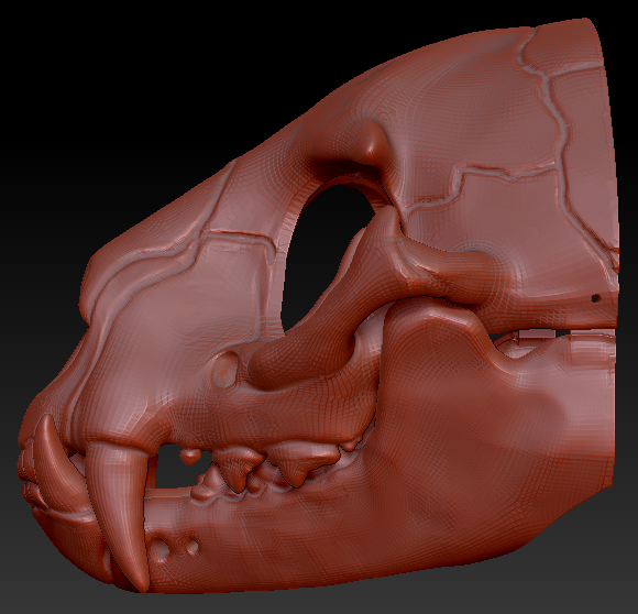 Large Feline Skull